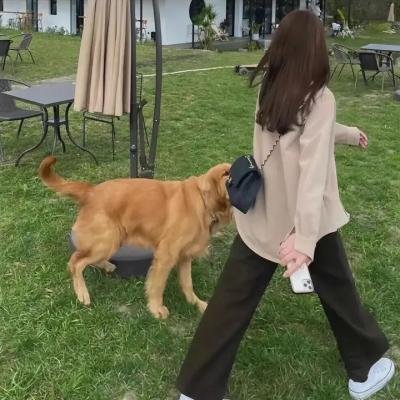 步步惊心的俏公子