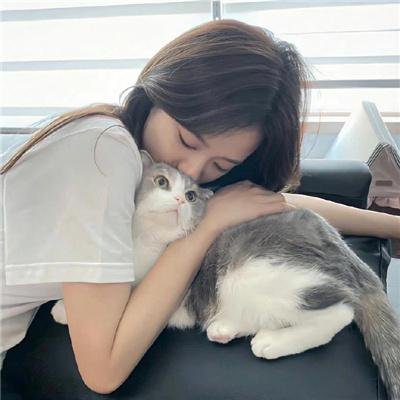 小野猫的公路历险记